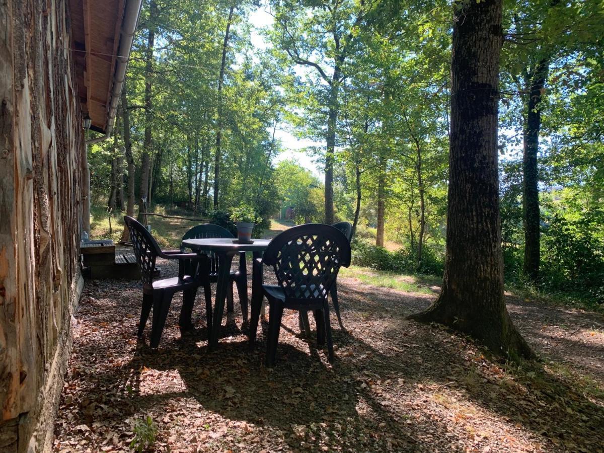Camping & Mayari